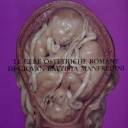 LE CERE OSTETRICHE ROMANE DI GIOVAN BATTISTA MANFREDINI
