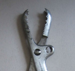 osteophor5
