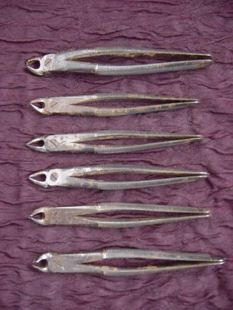A 1800’S Set Of 6 Dental Forceps By Evans & Co., London dsc00019 A 1800’S Set Of 6 Dental Forceps By Evans & Co., London