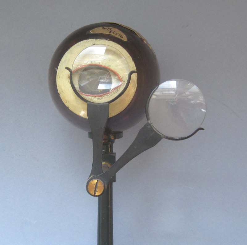C1850 Artificial Eye for the Demonstration of Myopia and Hypermetropia Eye2 C1850 Artificial Eye for the Demonstration of Myopia and Hypermetropia