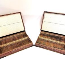 Two French book-shaped containers for microscope slides. by French company \