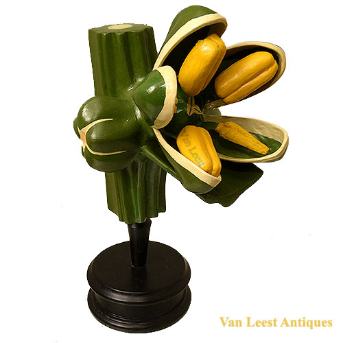 Botanical Beta vulgaris (beet) model