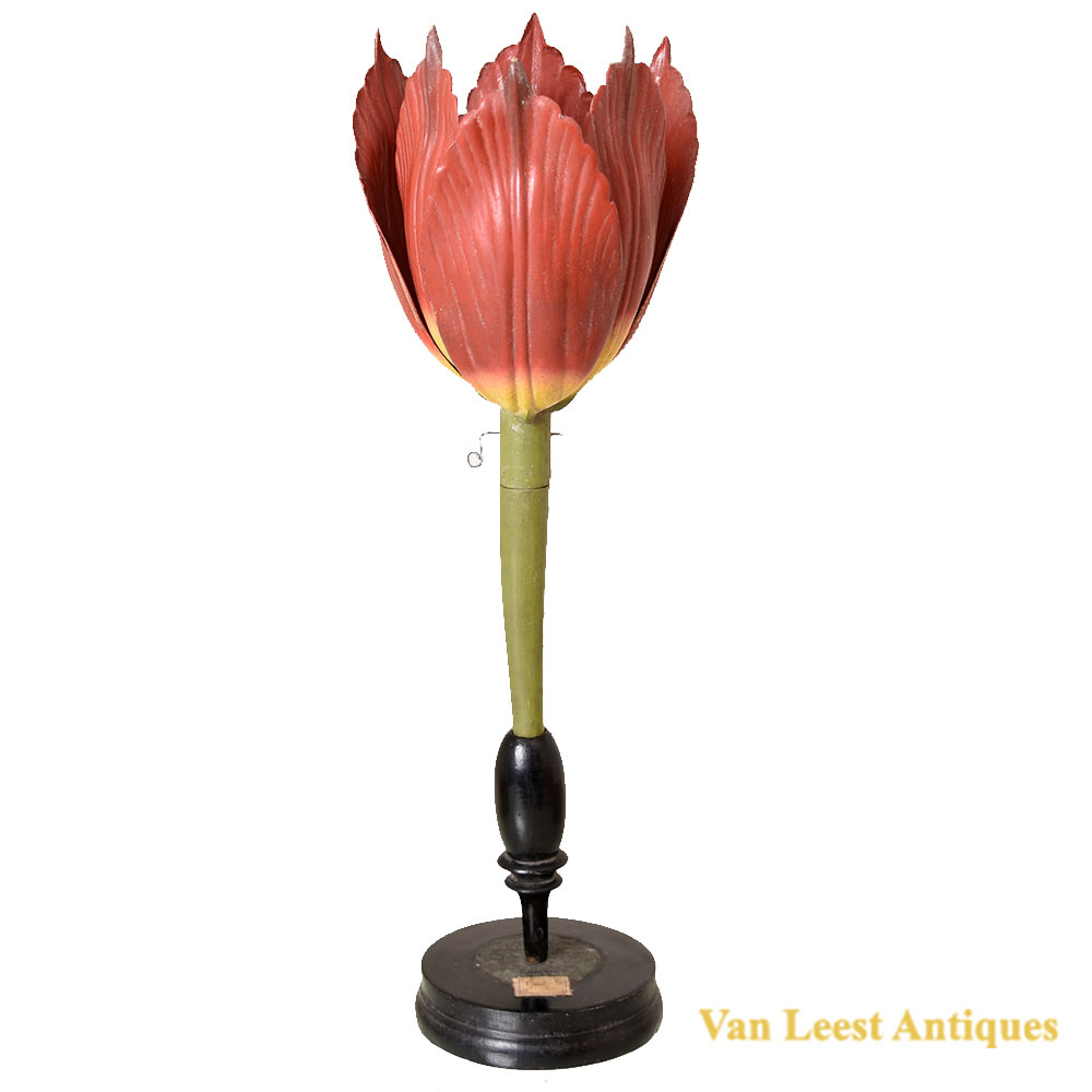 Brendel tulip model, c. 1880 Brendel tulip model c1880 – Van Leest Antiques (1) Brendel tulip model, c. 1880