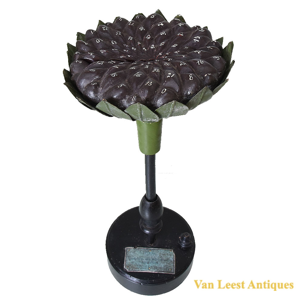 Brendel model of a flower head, c. 1900 Brendel model of a flower head c 1900 – Van Leest Antiques (1) Brendel model of a flower head, c. 1900